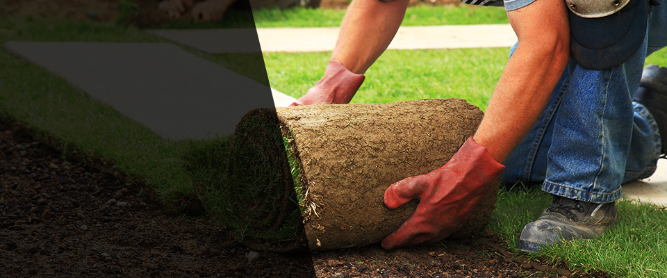 Grand Marais Landscapers
